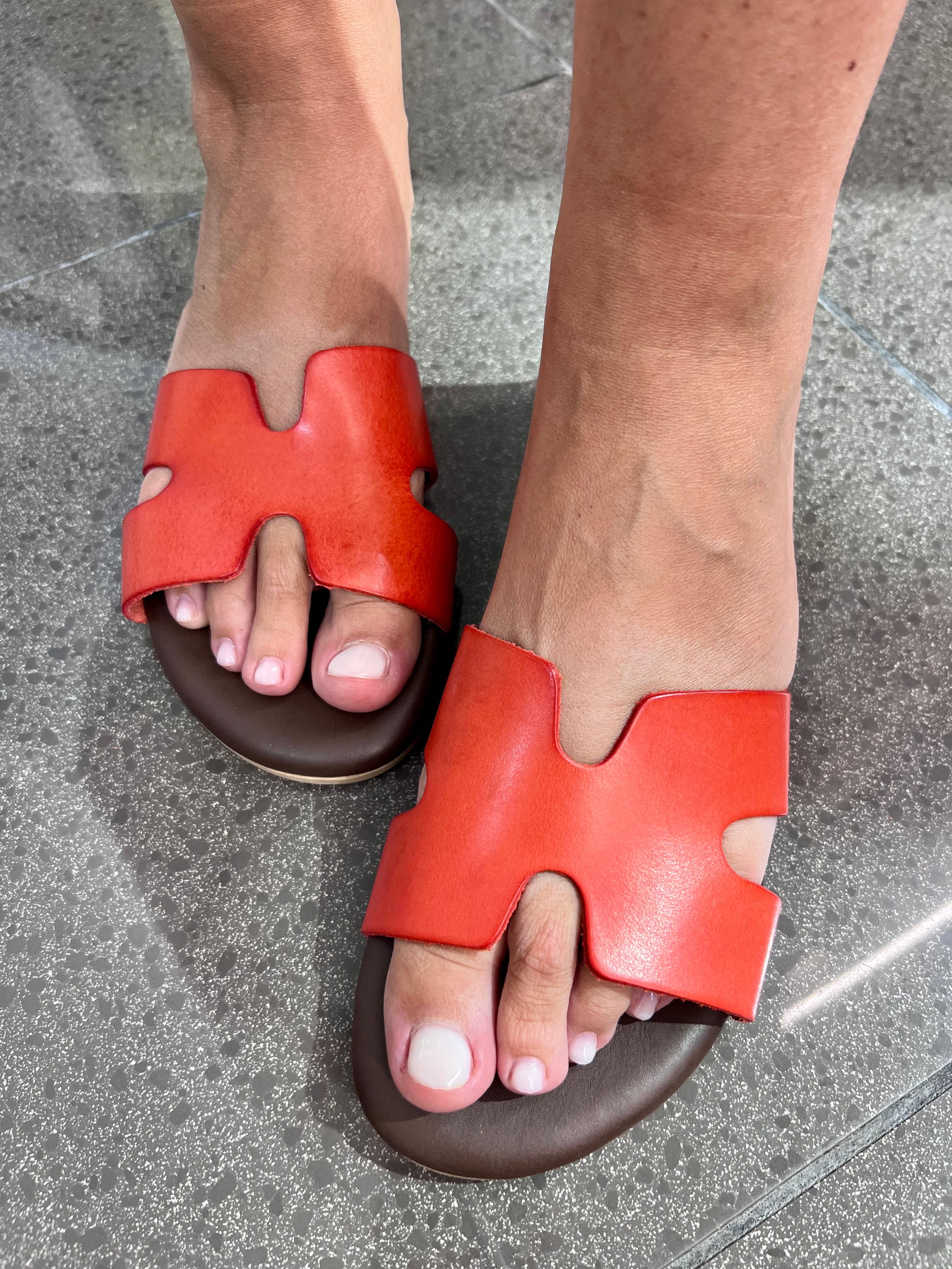 Vacchetta Rossa Divine Follie