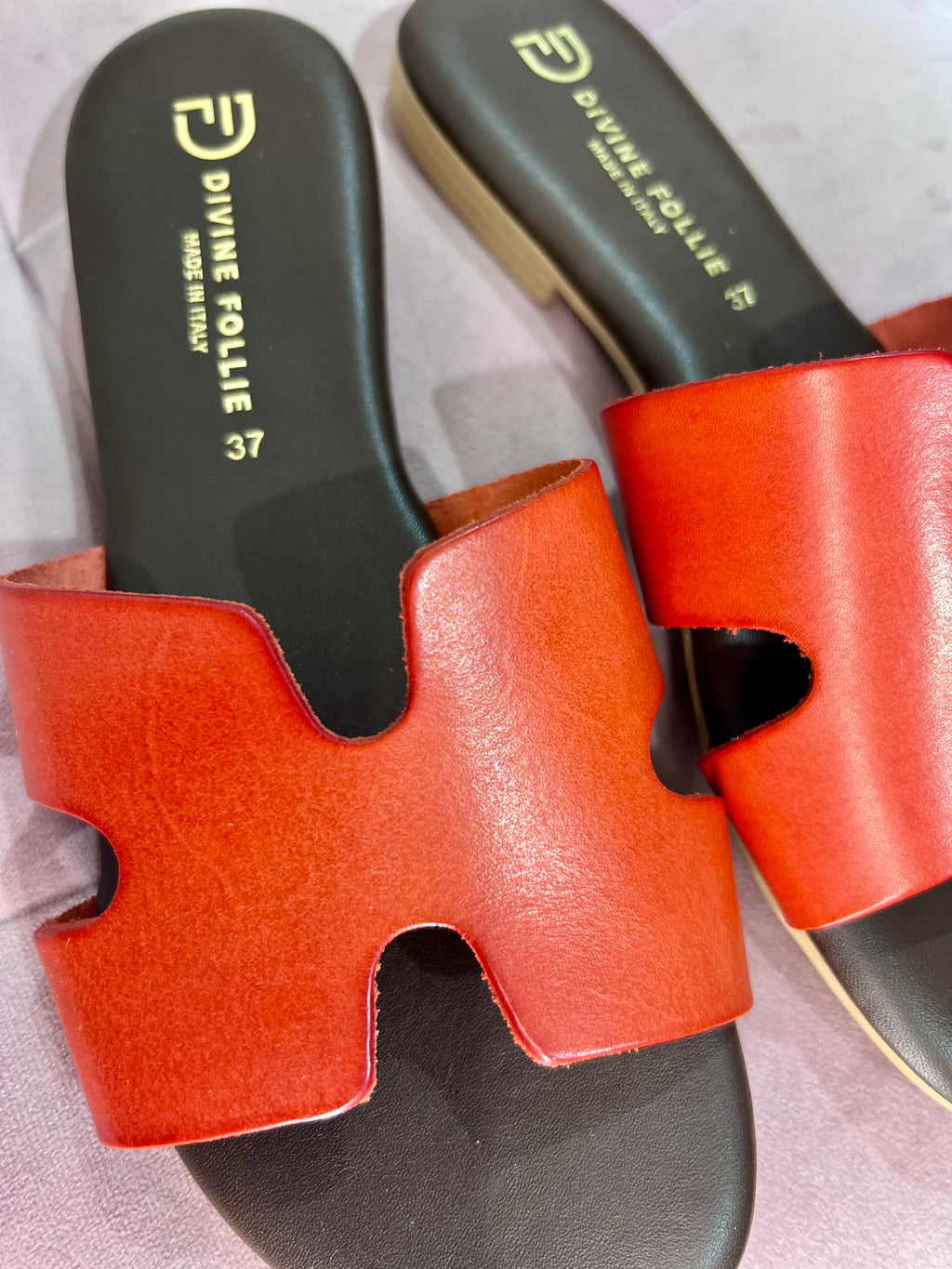 Vacchetta Rossa Divine Follie